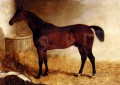 Flexible Un caballo de carreras castaño en una caja suelta Caballo John Frederick Herring Jr